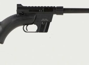 HENRY H002BSGB SURVIVAL PACK 22LR