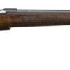 CZ 02312 457 AMERICAN 17HMR - Image 2