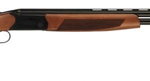 CZ 06483 QUAIL OU 20 28 CT5