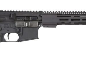 RADICAL 300BLK 16" M4 STK BLK