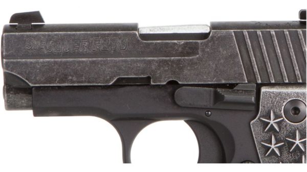 Sig Sauer We The People 380ACP 2.7" Barrel 7+1 238-380-WTP - Image 2