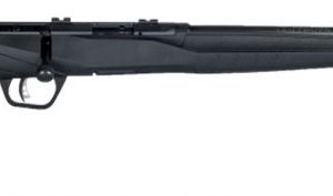 SAV 70800 B17F 17HMR