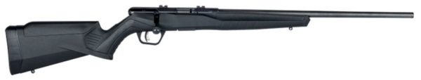 SAV 70801 B17FV 17HMR - Image 2