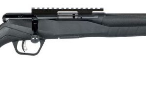 SAV 70803 B17FVSR 17HMR