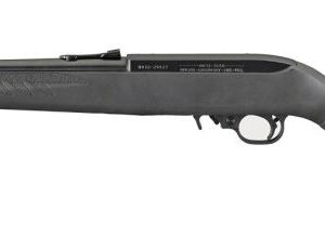 Ruger 10/22 Compact 22LR 16.12" Barrel 10+1 31114