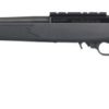 Ruger 10/22 Carbine 22LR 18.5" Barrel 10+1 31145 - Image 2