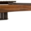 CZ 557 Varmint 308WIN 25.6" Barrel 10+1 Walnut Stock/Blued 04815
