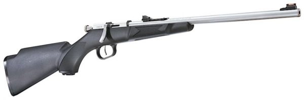 Henry Mini Youth 22LR 16.25" Barrel W/ Williams Fire Sights 1Rd... - Image 2