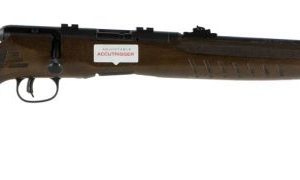 SAV 70210 B22G 22LR