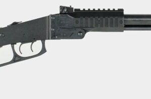 CHIA 500.182 M6 12GA/22WMR CT