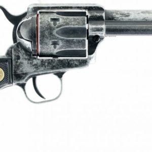 CHIA 340.089 1873 22LR 4.75 6RD ANTQ