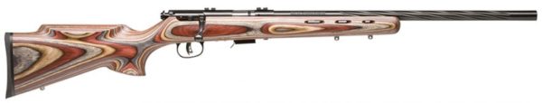 SAV 96770 93R17BRJ 17HMR