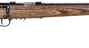 SAV 96734 93R17BV 17HMR