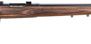 SAV 19738 25 LWT VAR 17 HORNET