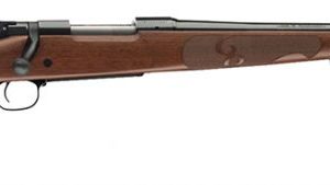 WGUN 535201212 M70 FWT CMPT 243 WIN
