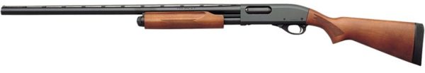 REM 25577 870 EXP 12 28 MD LH WOOD