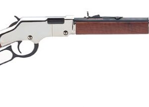 HENRY H004SV GOLDEN BOY SILVER 17HMR