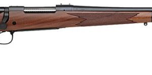 REM 27049 700 CDL 300 WIN MAG