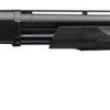 BPS 10 Gauge Field Composite