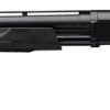 BPS 10 Gauge Field Composite