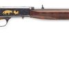 Semi-Auto 22