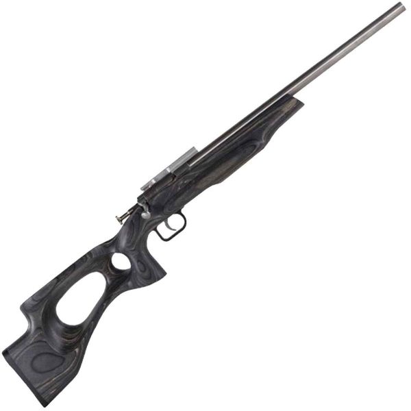 Crickett EX Thumb Hole Stock Stainless Black Bolt Action Rifle - 22 Long Rifle