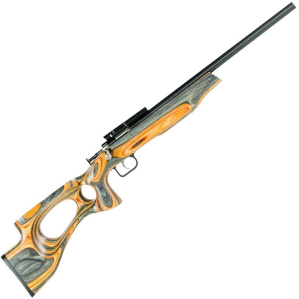 Crickett Target Model Bolt Action Rifle