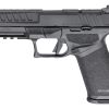 SPRINGFIELD ARMORY ECHELON (3-DOT) - Image 8