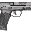 SMITH & WESSON M&P9 M2.0 (LIMITED EDITION TENNESSEE) for sale