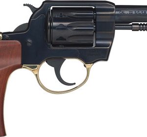 Henry Golden Boy 22 LR