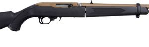 Ruger 10/22 Takedown 22 LR