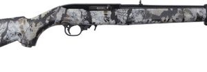 Ruger 10/22 22 LR